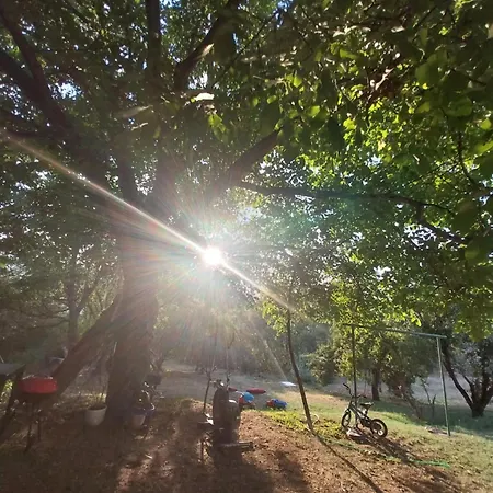 Kaj Nana & Dedo Landhuis *