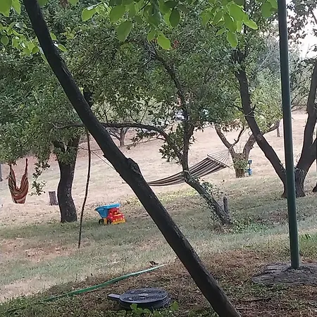 Kaj Nana & Dedo Landhuis *