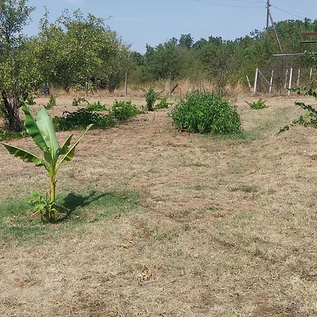 Country house Kaj Nana & Dedo Skopje