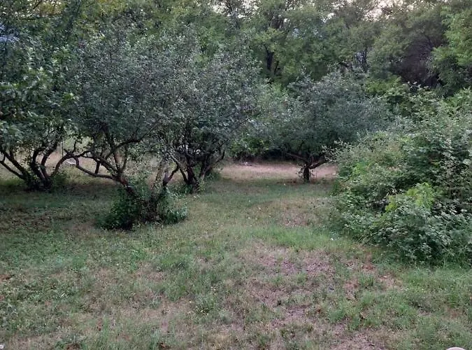 Kaj Nana & Dedo Lantställe