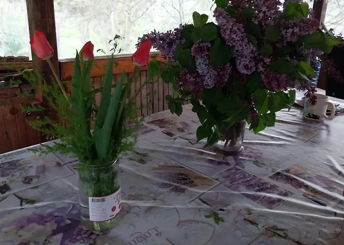 Kaj Nana & Dedo Skopje