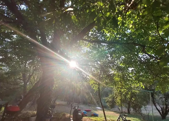 Kaj Nana & Dedo Landsted *