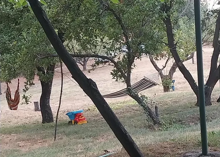 Kaj Nana & Dedo Lantställe *