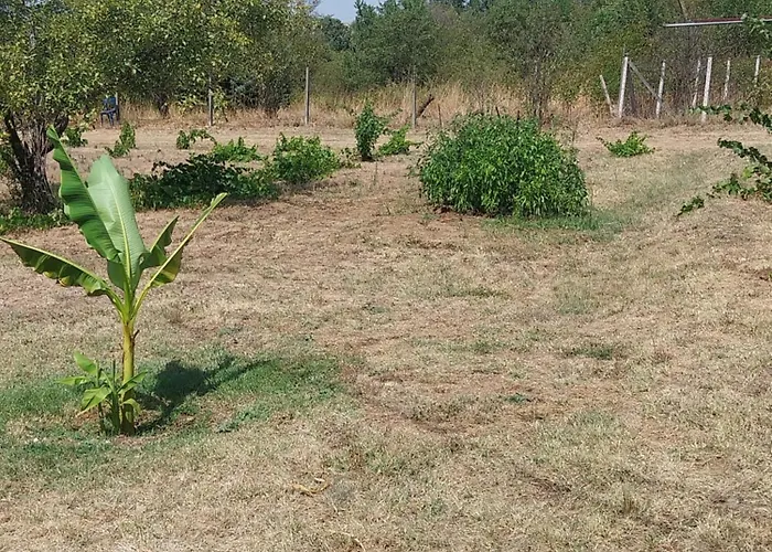 Country house Kaj Nana & Dedo Skopje